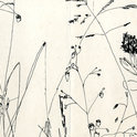 Art_collection_13_preview_4