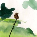 Art_collection_22_preview_previews