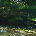 Art_collection_40_preview_picture_528_s_