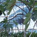 Landscape_architecture_collection_17_preview_extract