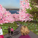 Landscape_architecture_collection_19_preview_preview_cemetery