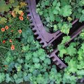 Landscape_architecture_collection_27_preview_preview