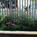 Landscape_architecture_collection_50_preview_preview