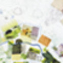 Product_collection_48_preview_paisea_tag